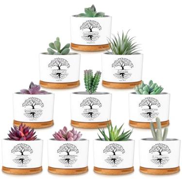 Imagem de Sieral 10 potes de suculentas com drenagem, árvore da vida, versículo bíblico, mini vaso de cacto de flores cristãs de cerâmica com bandeja de bambu, presente religioso para mãe e pai, plantas não