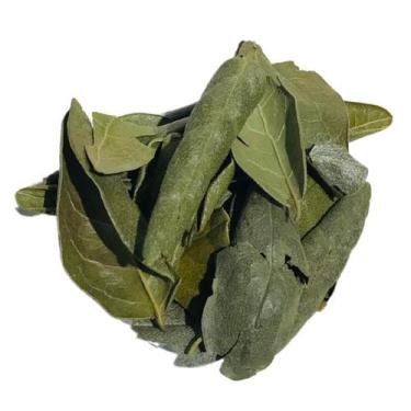 Imagem de Boldo Chileno 1Kg (Peumus boldus) - Produto vendido a granel