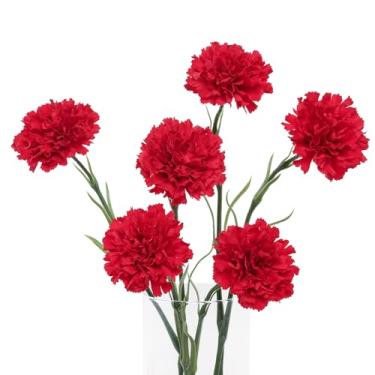 Imagem de DuHouse 6 peças de flores artificiais, cravos de látex, cravos falsos com hastes para festa de casamento, escritório, decoração de casa (vermelho)
