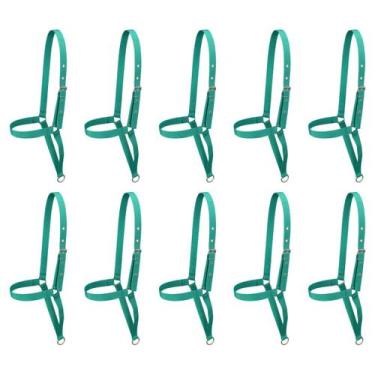 Imagem de Kit 10 Cabrestos de Fita para Vaca SV39031 - Verde - Selaria Vertentes