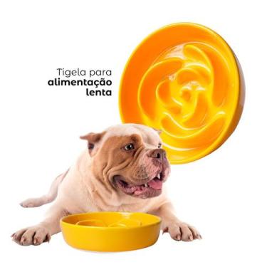 Imagem de Tigela Comedouro Interativo Lento Em Cerâmica Para Pets - Sorrino
