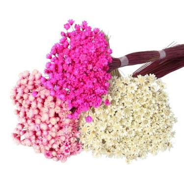 Imagem de Kit 3 Maços Sempre Vivas - Rosa, Branca e Pink - Pense Flores