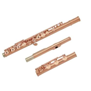 Imagem de Flauta de superfície banhada a ouro rosa, chaves francesas de cobre-níquel, 17 furos, furo aberto, com caixa