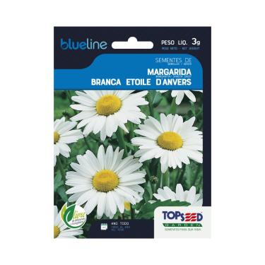 Imagem de Sementes de Margarida Branca Etoile D'Anvers 3g, Flores para Todo Ano