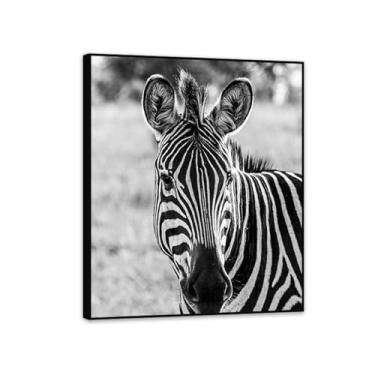 Imagem de SDYJ6GSW Imagens de animais em preto e branco para decoração de parede Zebra preto e branco imagem de animal impressão de imagem de cavalo pintura de parede zebra decoração de parede para sala de
