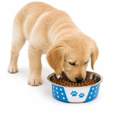 Imagem de Comedouro Inox antiderrapante Patinha Bolinha Azul Pet 14cm - Murano