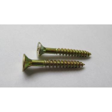 Imagem de Parafuso Aço para Aglom Cabeça Chata Ph Ct20Pcs 35x35