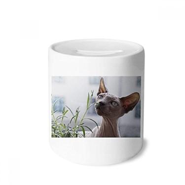 Imagem de DIYthinker Caixa de dinheiro com foto de gato fino cinza animal porta-moedas caixa de cerâmica presente de cofrinho