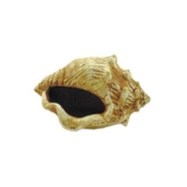 Imagem de Decoração Trema Para Aquários Caracol Envelhecido