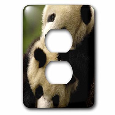 Imagem de 3dRose lsp_70188_6 Ursos Panda Gigantes, Conservação Wolong, Tampa de tomada China