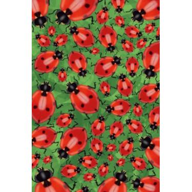 Imagem de Ladybug Notebook: A colourful ladybug notebook with 120 blank pages