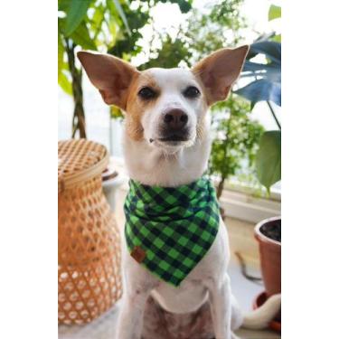 Imagem de Bandana para Pet - Campina Grande - BenDog, PP