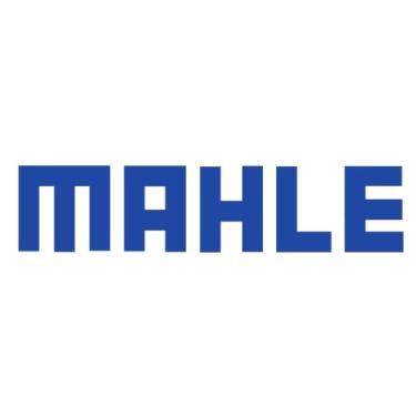 Imagem de Mahle Interruptor - MSX1043