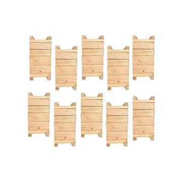 Imagem de 10 Caixas Inpa Abelhas Sem Ferrão Eucalipto 12x12 - Beethoven Agropet