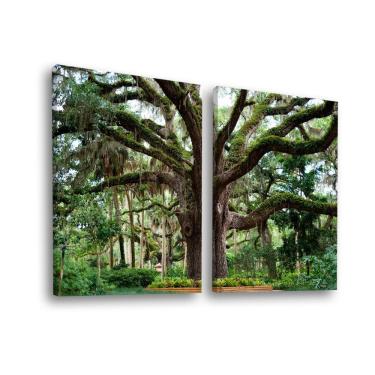 Imagem de Quadro Decorativo Dupla árvore No Parque