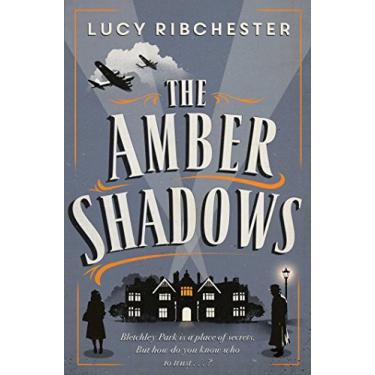 Imagem de The Amber Shadows (English Edition)