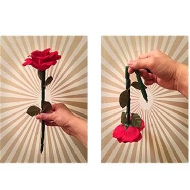 Imagem de MOMOMAGE The Breakaway Flower Magic Tricks Stage Close up Break Restore Flower Magic Mentalism Gimmick Props Breakaway Wand Rose Magic