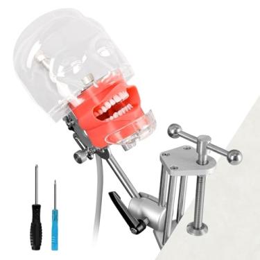 Imagem de Ultrassist Cabeça De Manequim Odontológico Com 32 Dentes Tipodonte, Montagem Fixa Na Mesa, Fantasma