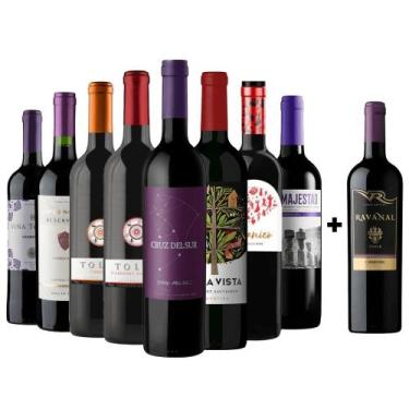 Imagem de Kit 8 Vinhos Tintos + 1 Carménère Chileno - Kit Divvino