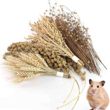 Imagem de Conjunto de spray para hamster TAOKEKE Natural Snack & Chew Toys