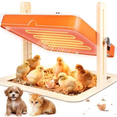 Imagem de Placa de chocadeira