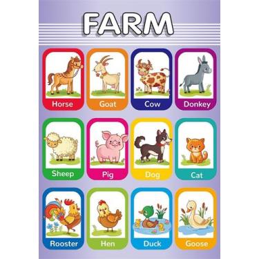 Imagem de Banner Educativo em Lona Inglês Animais da Fazenda 70x55cm - Core Deco