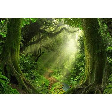 Imagem de Yeele Pano de fundo de selva tropical de 4,5 x 3,0 m para fotografia neblina molhada floresta tropical musgo luz do sol paisagem natural infantil adulto foto cabine filmagem vinil estúdio adereços