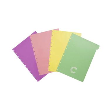 Imagem de Divisórias Pastel Grande Caderno Inteligente