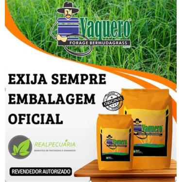 Imagem de Sementes de Capim Vaquero - DLF Seeds