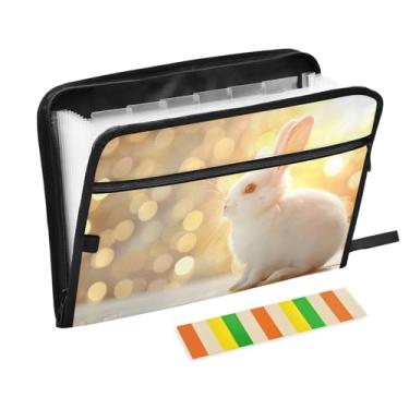 Imagem de CEBUGI Pasta expansível com 13 bolsos, organizador de arquivos sanfonado à prova d'água com etiquetas tamanho A4, organizador de documentos de papel para escola, material de escritório, coelhinho da