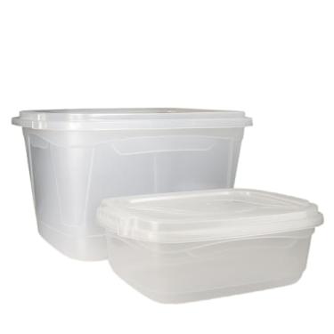 Imagem de Caixas Organizadoras Transparentes Kit 2 Unidades 17L e 5L com Tampa e Trava