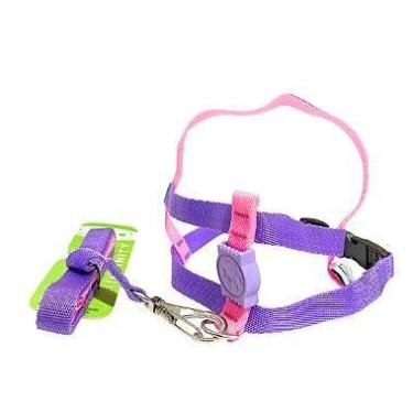 Imagem de Conjunto Peitoral Neon Ajustável com Guia para Cachorro - Segurança e 