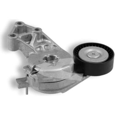 Imagem de Tensionador do alternador Volkswagen Bora 2000 a 2010 COBRA