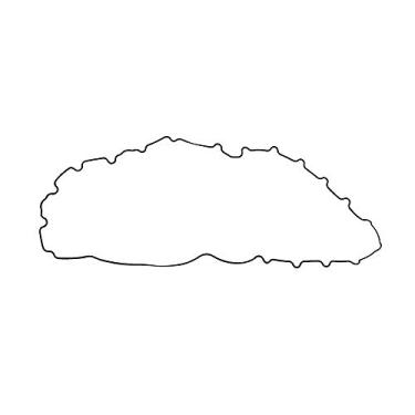 Imagem de Junta Tampa Radiador Oleo Volvo Fh12 D13a Anel Vedacao 20979871