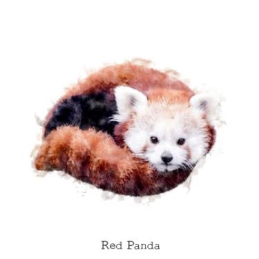 Imagem de Red Panda: Notebook, 120 blank lined pages, 8.5 by 11