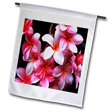 Imagem de 3dRose fl_62165_2" Bandeira de jardim com flores de plumeria coloridas, fúcsia havaiana, 45,74 cm x 68,88 cm