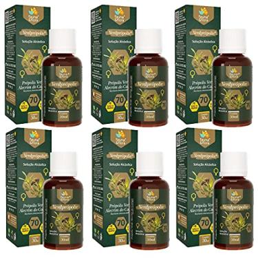 Imagem de Kit 6 Própolis Verde Extrato Seco 70% Natural Puro WaxFree Concentrado Forte Imunidade 30ml Sem Cera
