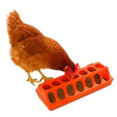 Imagem de Kit 2 Comedouro Linear 30 cm Plástico Galinha Galo Pinto Codorna Patos