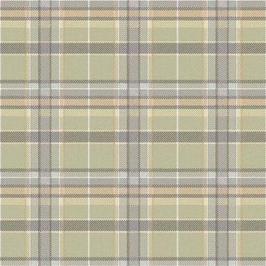 Imagem de Papel De Parede Botany House Xadrez Verde Claro 15575