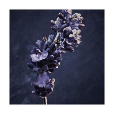 Imagem de Perfume Rabanne Invictus Parfum 200ml - PACO RABANNE