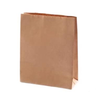 Imagem de Saco Papel 18x25x9,5cm 2031 Kraft Natural 50 unidades