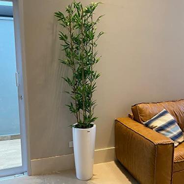 Imagem de Bambu Mossô Artificial 6 Hastes Planta Alta no Gesso + Vaso