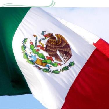 Imagem de Bandeira México 1,50x0,90mt Bandeira México 1,50x0,90mt - Max Bandeira