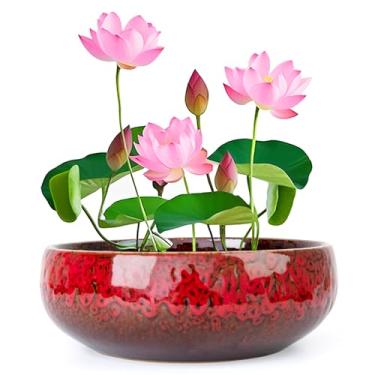 Imagem de ARTKETTY Tigela de lótus - Tigela grande de flor de lótus de 20 cm para plantas aquáticas, tigela de bonsai de cerâmica para plantas hidropônicas, suculentas, ambientes internos e externos
