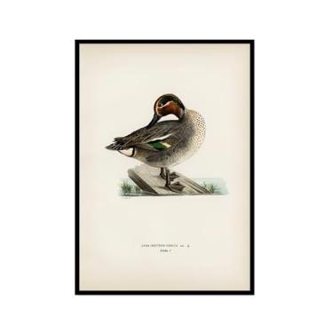 Imagem de Impressão de pato vintage rústico Pato Pato Pato Lago pôster de arte de parede retrô natureza pintura em tela imagens decoração de quarto de fazenda (SKU6,20.3x30.5 cm = (20x30cm), moldura preta para