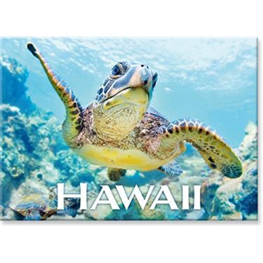 Imagem de Imã de geladeira colecionável de arte havaiana - Tartaruga marinha Honu Binky da Monica & Michael Sweet