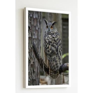 Imagem de Quadro Decorativo Foto Coruja Galho Árvore - 70X50Cm - Quadros On-Line
