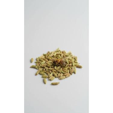 Imagem de Chá de Funcho Sementes 100g Natural - Congratulations Store
