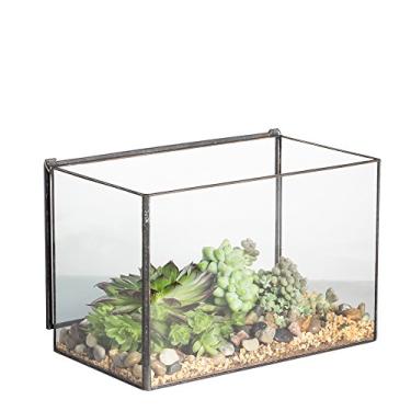 Imagem de NCYP Vaso de terrário retangular pequeno de vidro retangular de 17 x 10 x 12 cm, caixa de vaso de flores geométrico transparente para suculentas, plantas aéreas, musgo, samambaia, decoração preta (sem plantas)