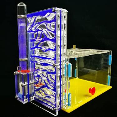 Imagem de Tingpai Diy T-Design Área de mentação Acrílico Farm Insect Villa Pet Casa Mania Ant Ninho Presente de Aniversário presente